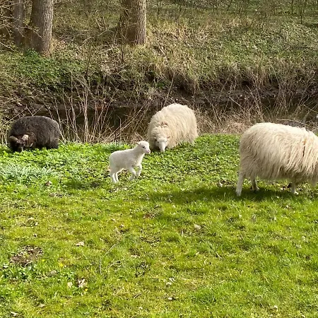 Ferien Auf Traumhaftem Resthof Appartement *