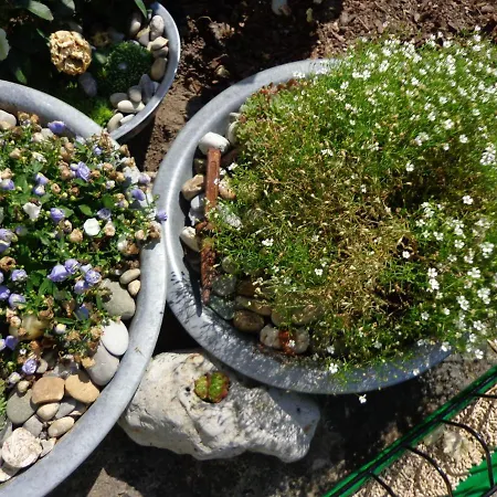 Ferien Auf Traumhaftem Resthof Appartamento Twedt