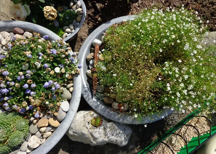 Ferien Auf Traumhaftem Resthof דירה Twedt